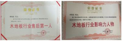 木地板優(yōu)秀行業(yè)優(yōu)秀勞?！陚|